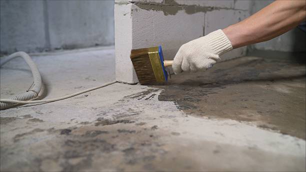 24/7 Emergency Wet Basement Repair experts in San Pierre, IN